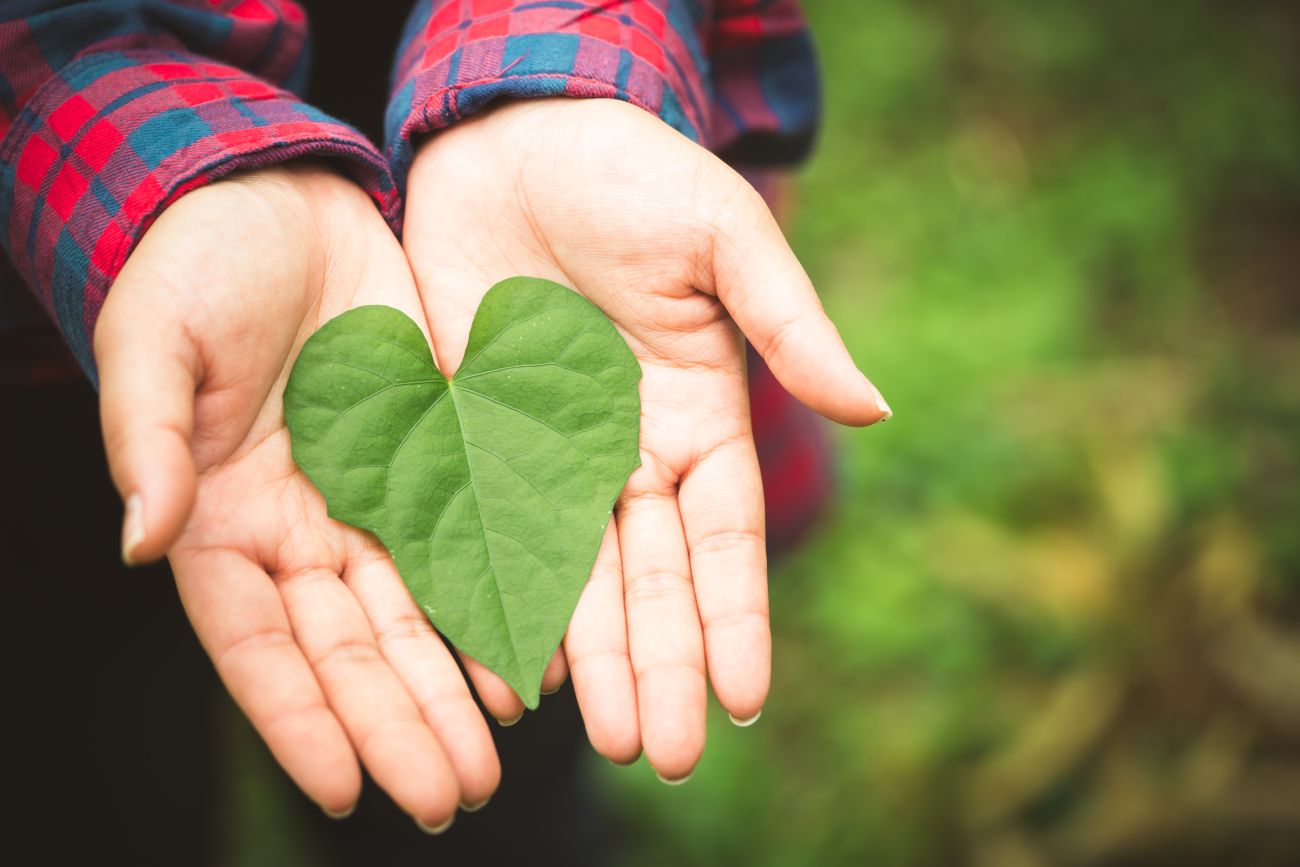 Leaf Heart in Woman's Hands Leaf Heart in Woman's Hands
