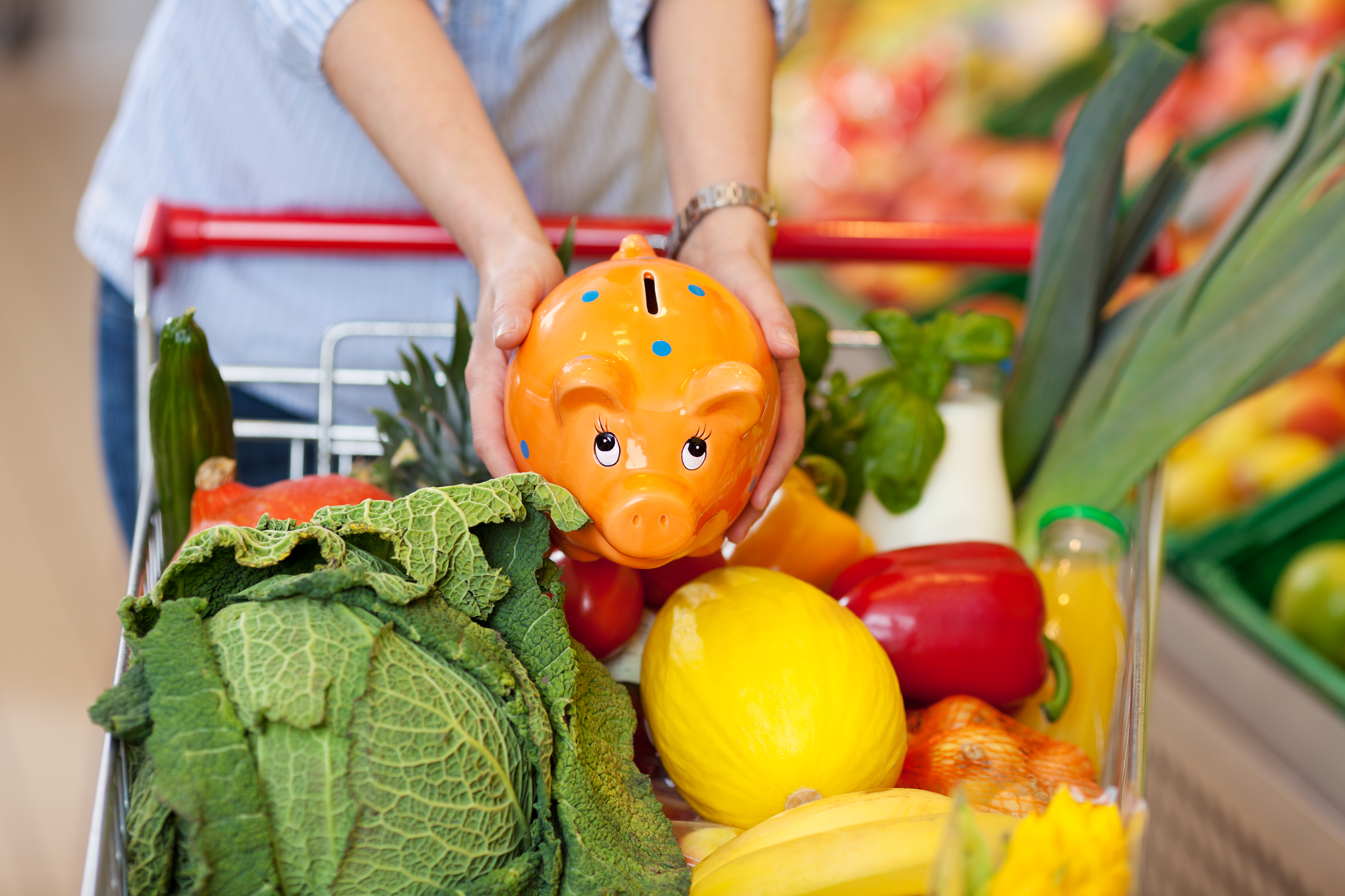 Adding Piggy Bank to Grocery Cart Adding Piggy Bank to Grocery Cart