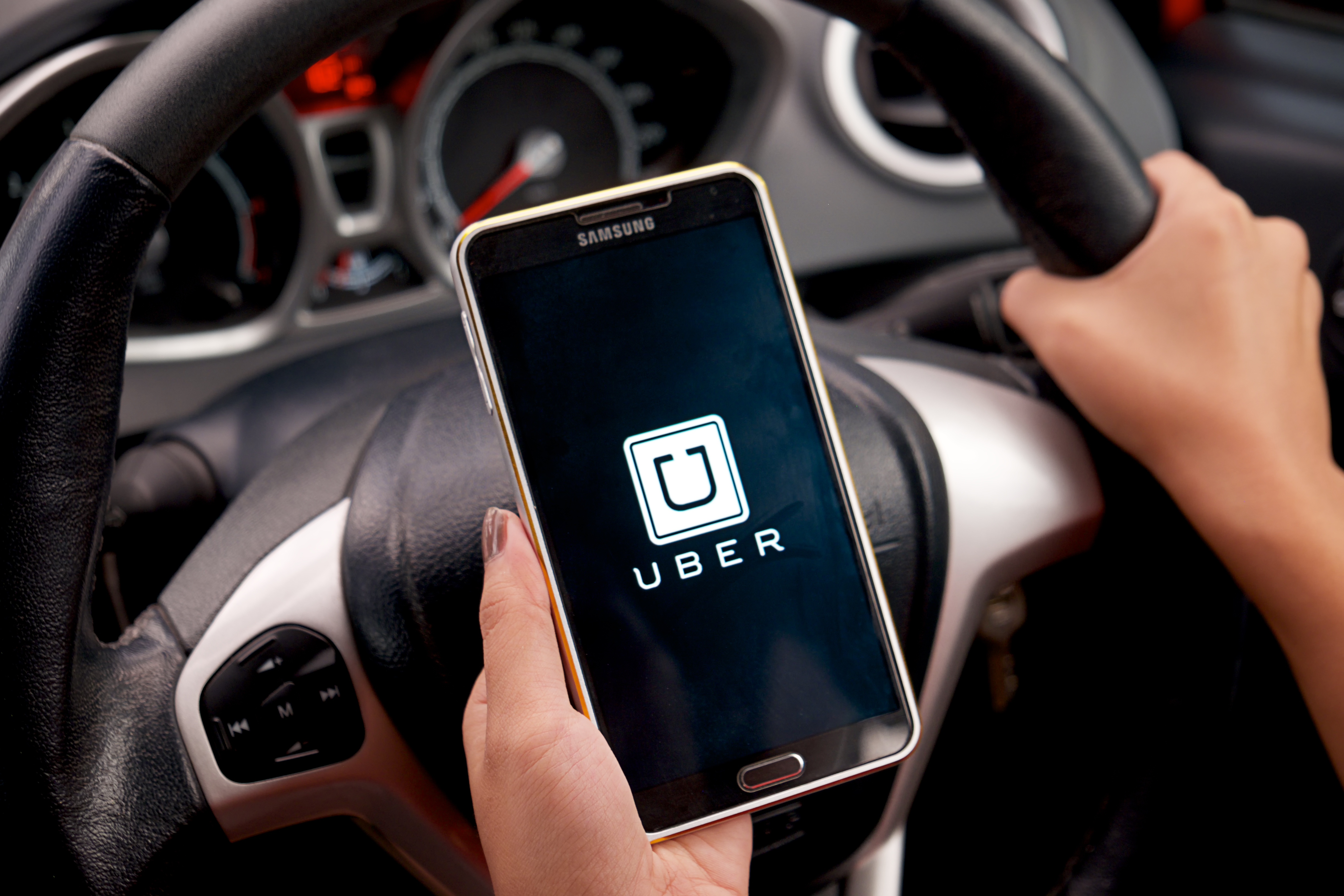 Uber Driver Looking at App Uber Driver Looking at App