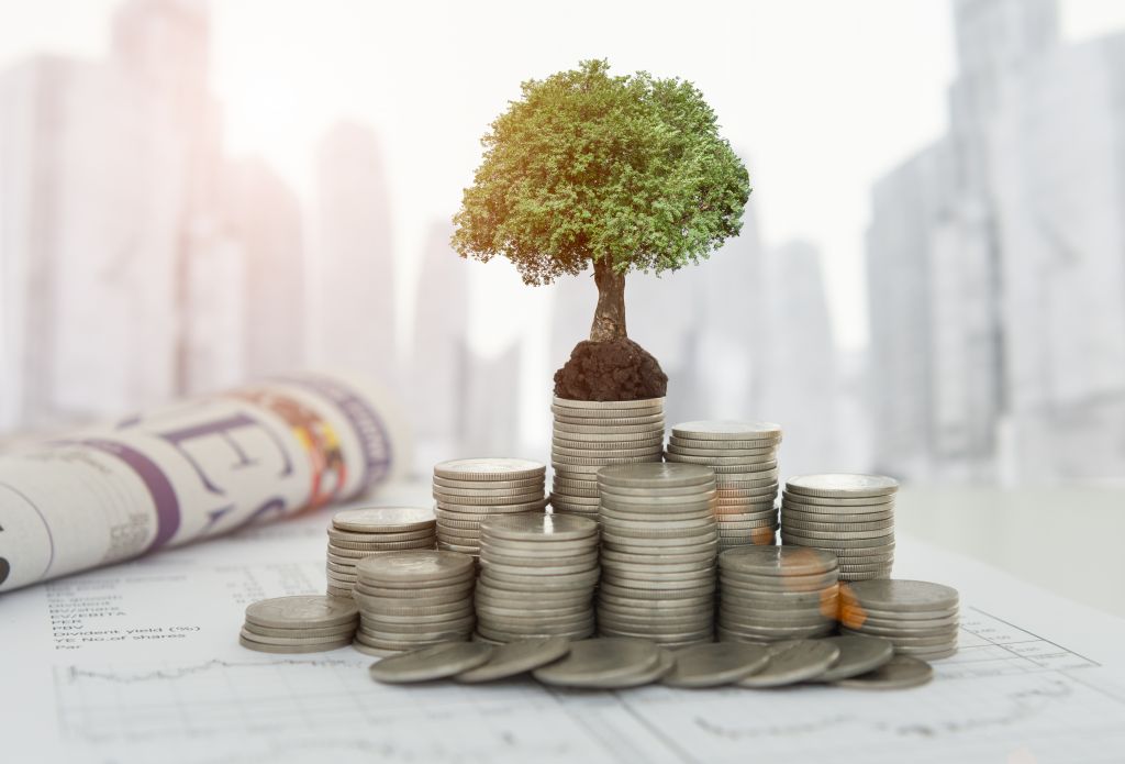 Coins with Mini Money Tree on Top Coins with Mini Money Tree on Top