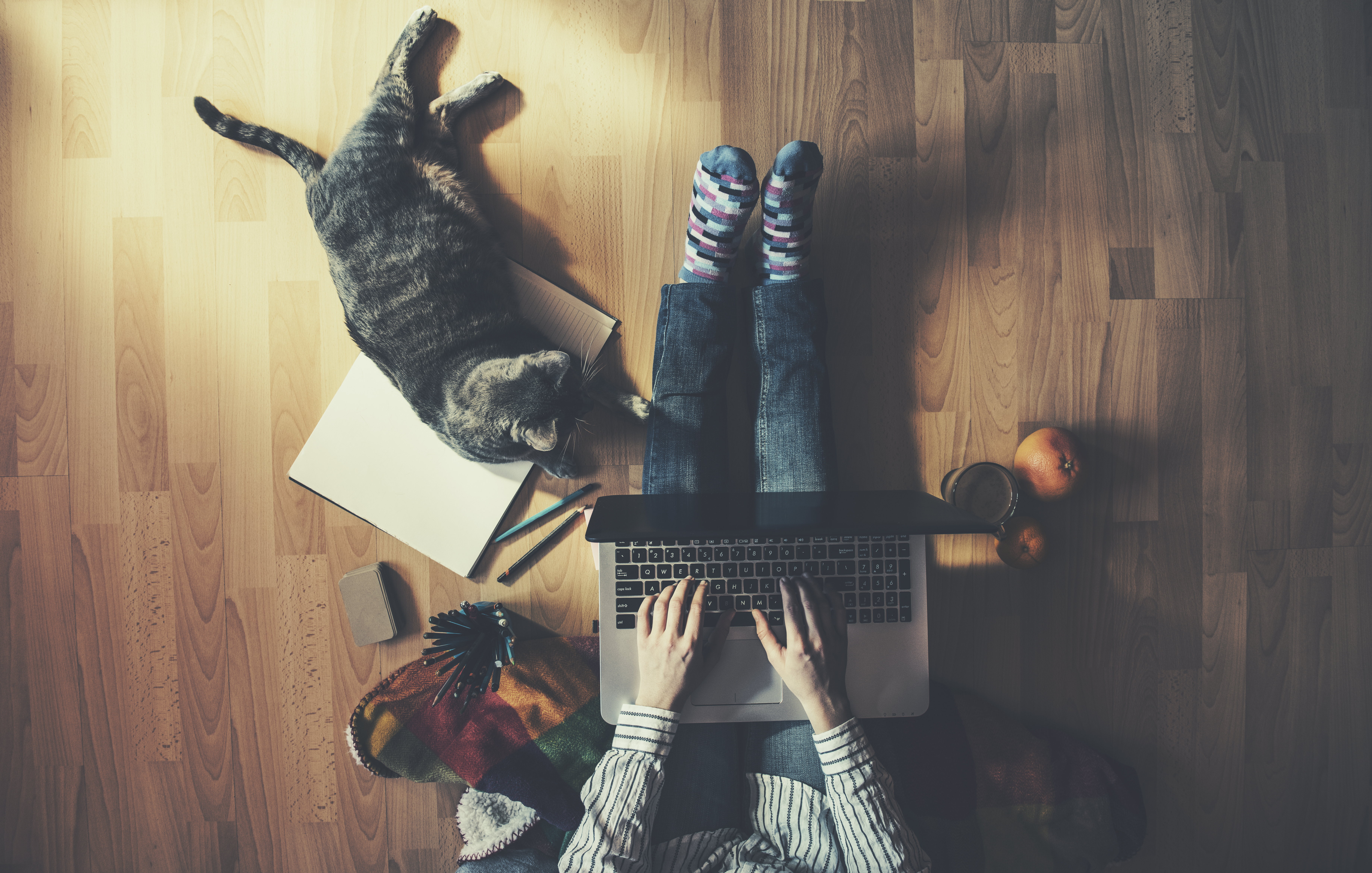 Woman Working from Home with Cat Woman Working from Home with Cat
