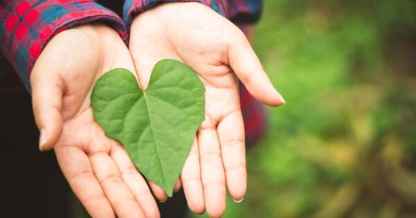 Leaf Heart in Woman's Hands