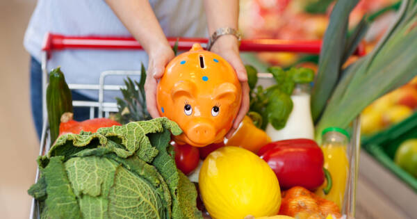 Adding Piggy Bank to Grocery Cart