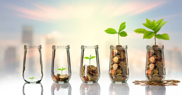Coin Jars Growing Seedlings