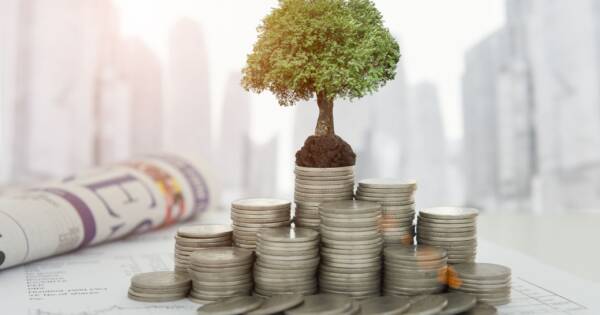 Coins with Mini Money Tree on Top