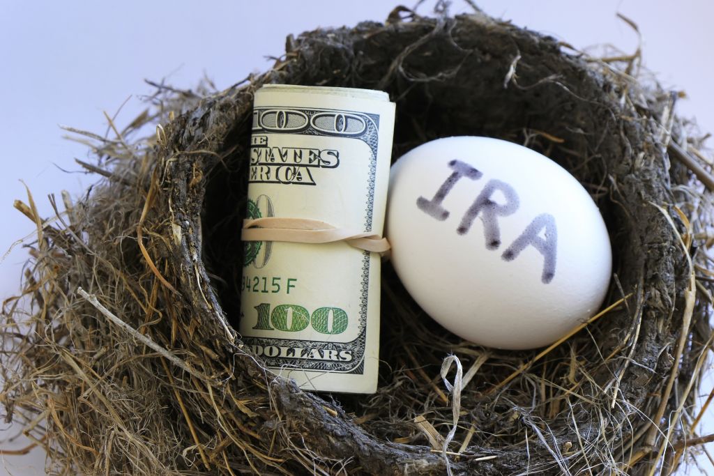 Money Roll & IRA egg in Bird Nest Money Roll & IRA egg in Bird Nest
