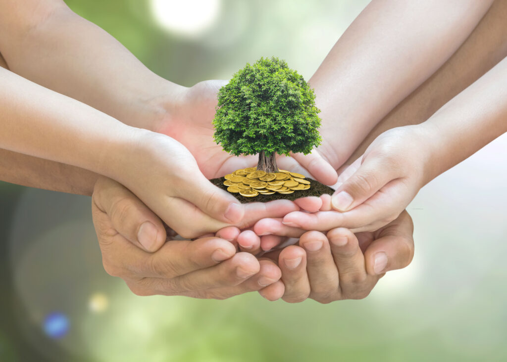 Hands Holding a Money Tree Hands Holding a Money Tree