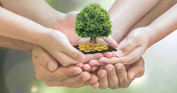 Hands Holding a Money Tree