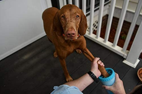 Dexas MudBuster Portable Paw Cleaner Dexas MudBuster Portable Paw Cleaner